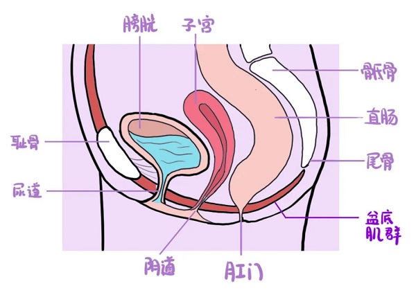 微信图片_20220615083154.jpg