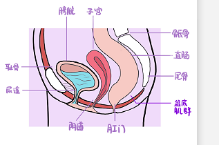 微信图片_20220615093417.png